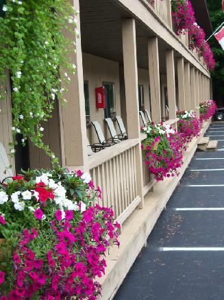 Tall Pines Motel Lake George Exteriér fotografie