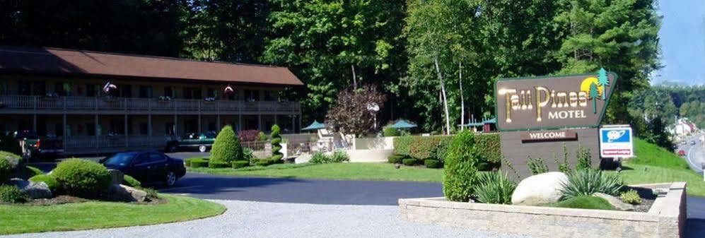 Tall Pines Motel Lake George Exteriér fotografie